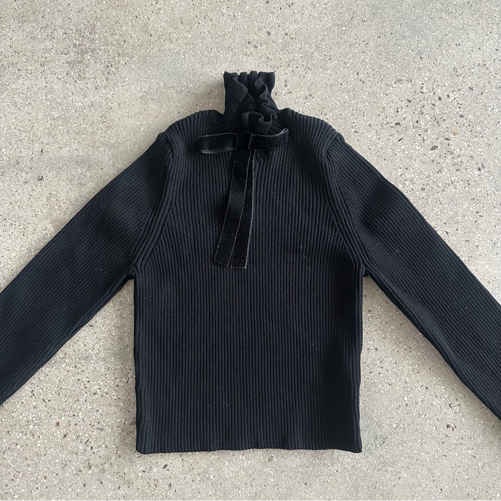 Zara long sleeve turtleneck